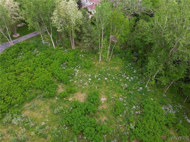 1020 N Circle Dr, Lockport-Town, NY 14094 - photo 20