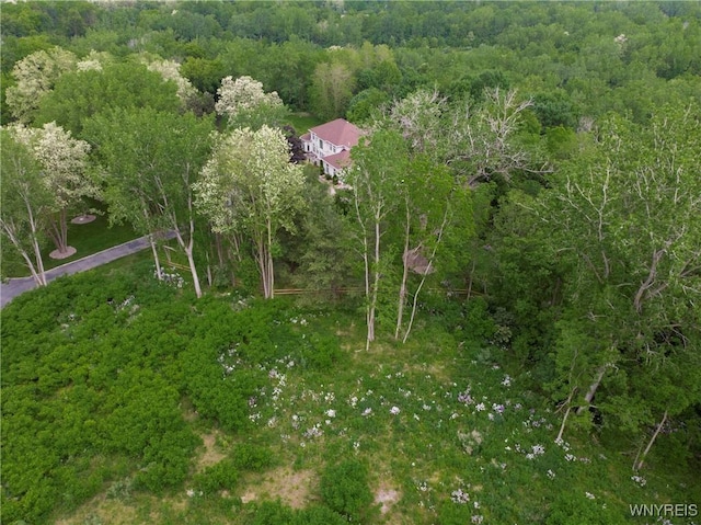 1020 N Circle Dr, Lockport-Town, NY 14094 - photo 21