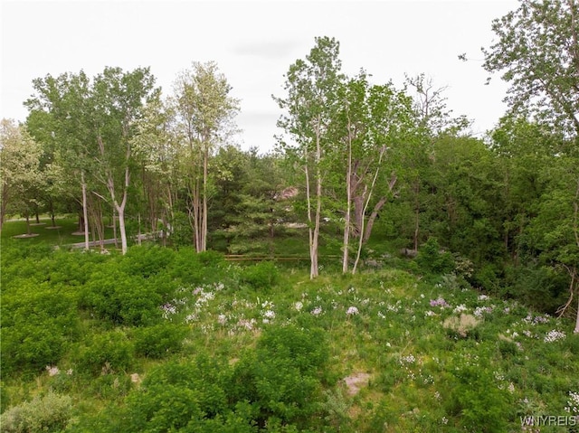 1020 N Circle Dr, Lockport-Town, NY 14094 - photo 22