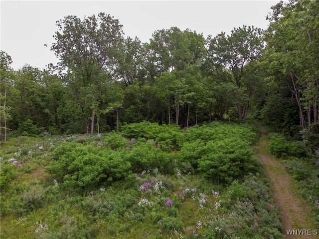 1020 N Circle Dr, Lockport-Town, NY 14094 - photo 23