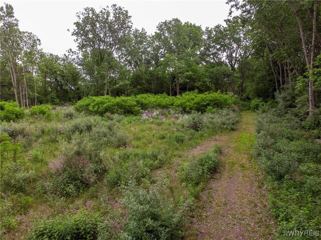 1020 N Circle Dr, Lockport-Town, NY 14094 - photo 25