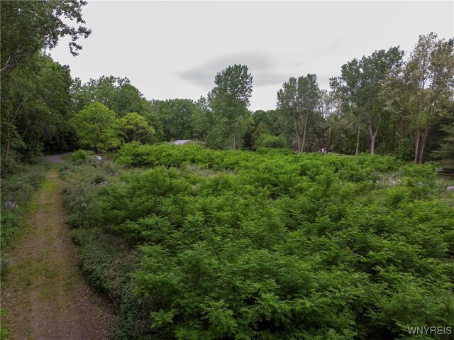 1020 N Circle Dr, Lockport-Town, NY 14094 - photo 26