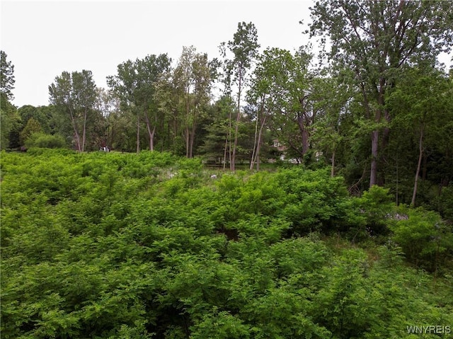 1020 N Circle Dr, Lockport-Town, NY 14094 - photo 27
