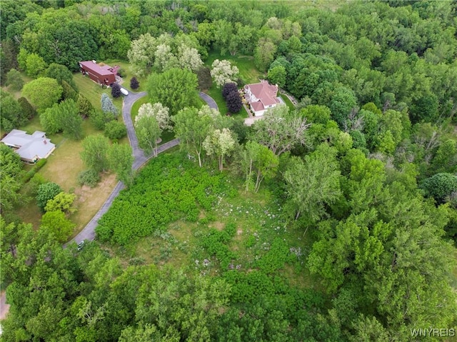1020 N Circle Dr, Lockport-Town, NY 14094 - photo 1