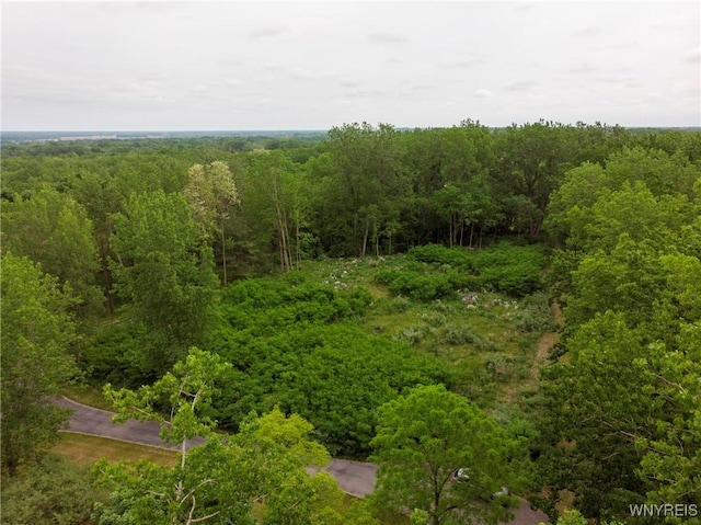1020 N Circle Dr, Lockport-Town, NY 14094 - photo 2