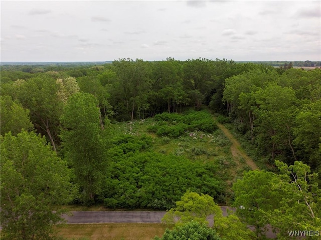 1020 N Circle Dr, Lockport-Town, NY 14094 - photo 3