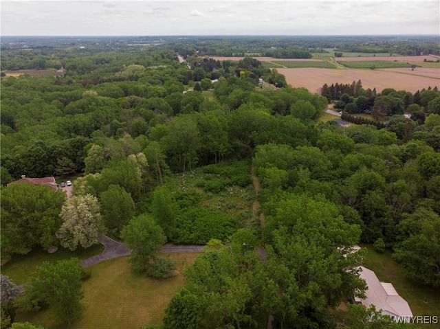 1020 N Circle Dr, Lockport-Town, NY 14094 - photo 4