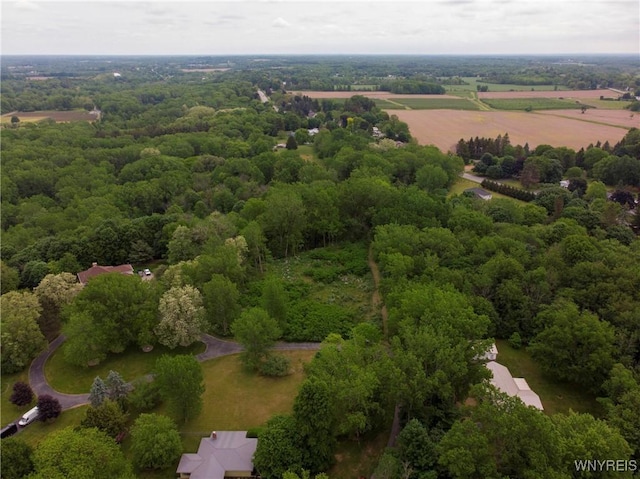 1020 N Circle Dr, Lockport-Town, NY 14094 - photo 5
