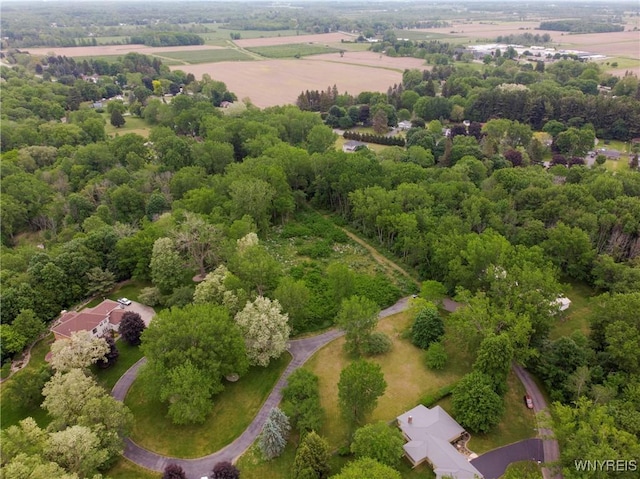 1020 N Circle Dr, Lockport-Town, NY 14094 - photo 6