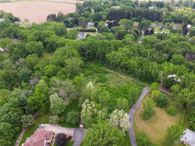 1020 N Circle Dr, Lockport-Town, NY 14094 - photo 7