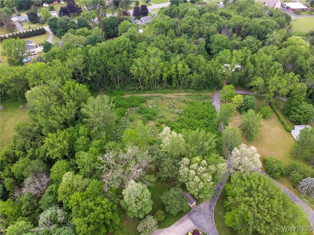 1020 N Circle Dr, Lockport-Town, NY 14094 - photo 8