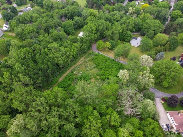 1020 N Circle Dr, Lockport-Town, NY 14094 - photo 9