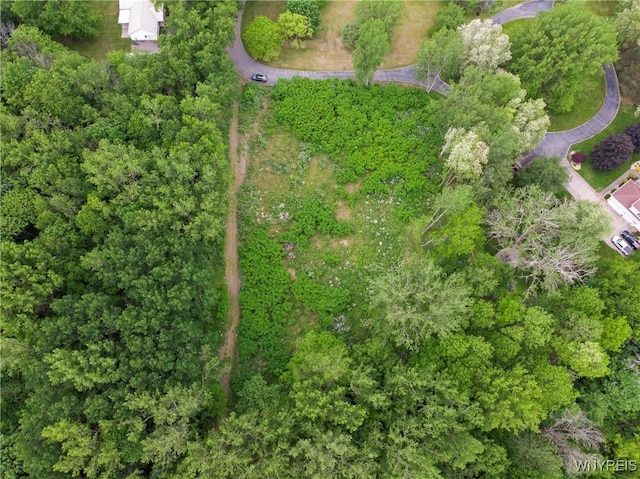 1020 N Circle Dr, Lockport-Town, NY 14094 - photo 12