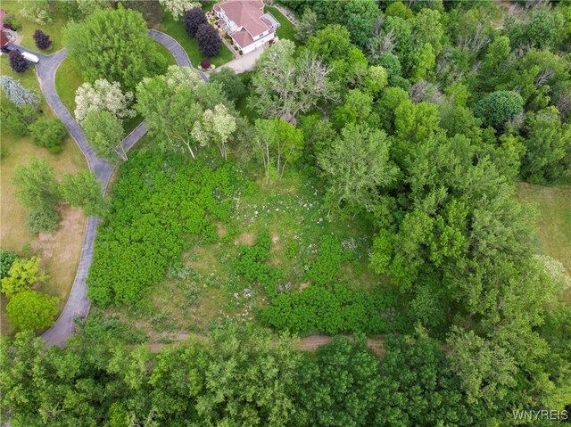 1020 N Circle Dr, Lockport-Town, NY 14094 - photo 13