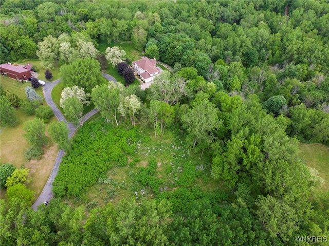 1020 N Circle Dr, Lockport-Town, NY 14094 - photo 14