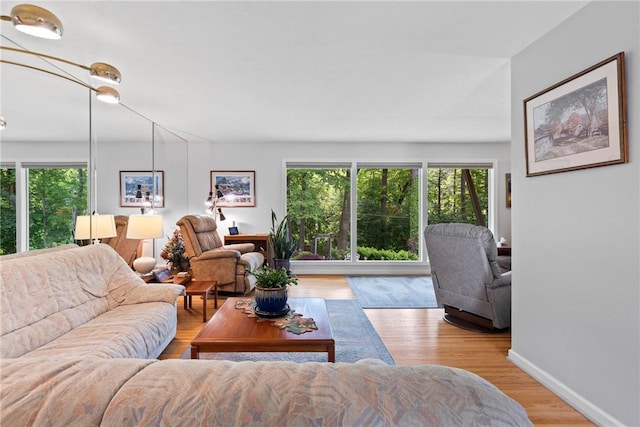 529 Backus Rd, Webster, NY 14580 - living room with wood finished floors and baseboards