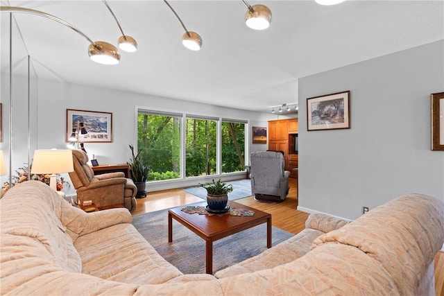 529 Backus Rd, Webster, NY 14580 - living room with light wood-type flooring and track lighting