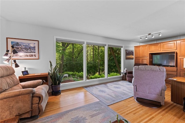 529 Backus Rd, Webster, NY 14580 - living room featuring light wood-type flooring
