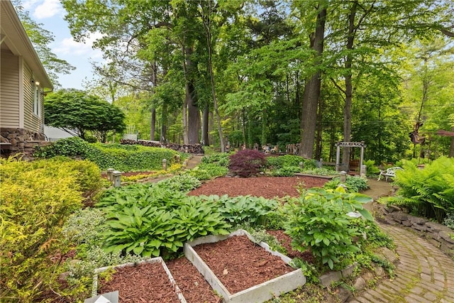 529 Backus Rd, Webster, NY 14580 - view of yard featuring a garden