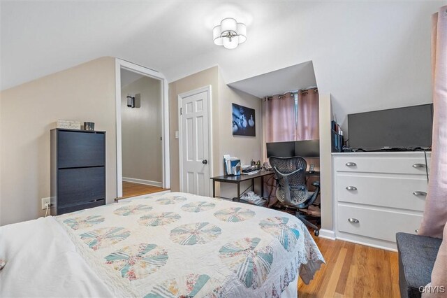 101 Doll Pkwy, Syracuse, NY 13214 - bedroom with light wood-style flooring and vaulted ceiling