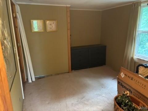 2334 State Route 49th Hwy, West Monroe, NY 13167 - carpeted spare room with plenty of natural light and ornamental molding