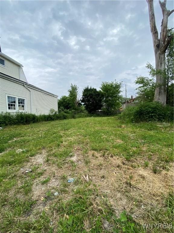 99 Thompson St, Buffalo, NY 14207 - photo 1