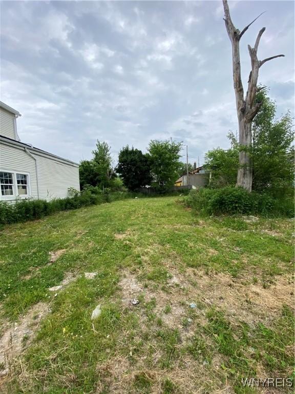 99 Thompson St, Buffalo, NY 14207 - photo 3