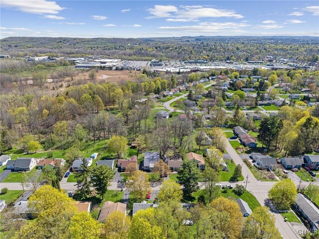 306 Hunt Dr, Manlius, NY 13066 - photo 42