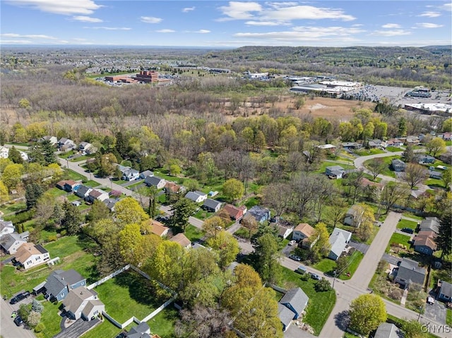306 Hunt Dr, Manlius, NY 13066 - photo 44
