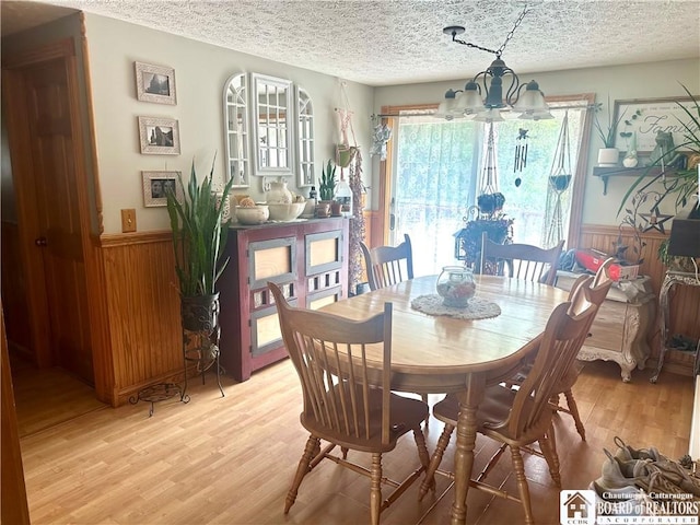 9983 Deer Creek Rd, Genesee, NY 14770 - dining room with a textured ceiling, a chandelier, a wainscoted wall, light wood finished floors, and plenty of natural light