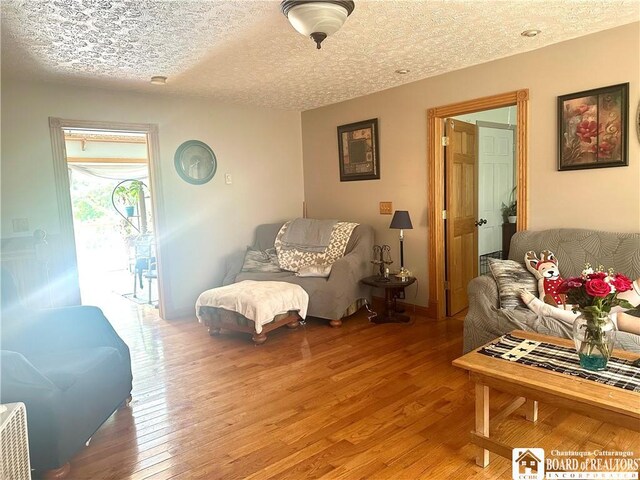 9983 Deer Creek Rd, Genesee, NY 14770 - living area featuring light wood-style floors and a textured ceiling