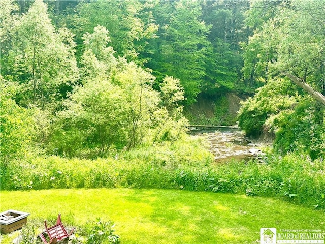 9983 Deer Creek Rd, Genesee, NY 14770 - view of yard with a view of trees