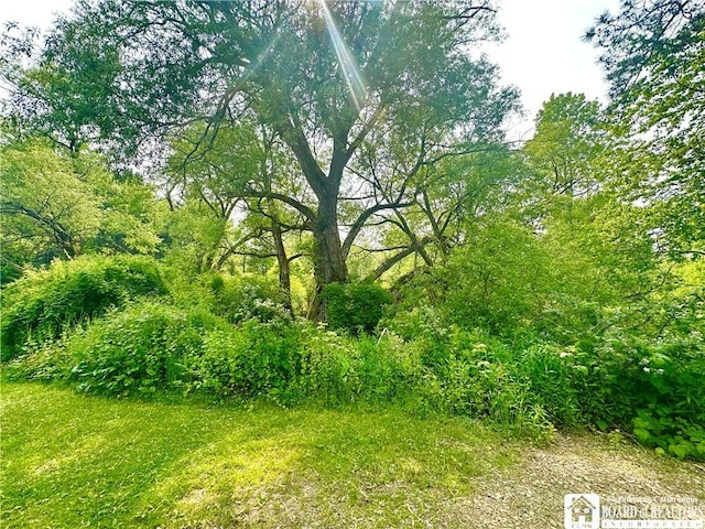 9983 Deer Creek Rd, Genesee, NY 14770 - view of nature