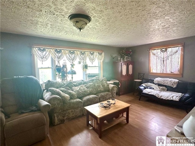 9983 Deer Creek Rd, Genesee, NY 14770 - living room with wood finished floors and a textured ceiling