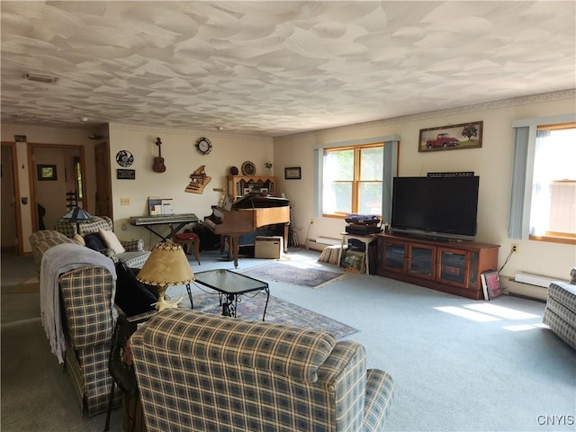 381 French Rd, Morehouse, NY 13324 - living area with plenty of natural light, carpet flooring, a baseboard radiator, and ornamental molding