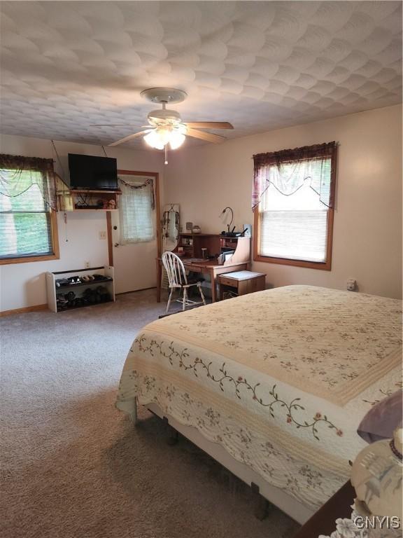 381 French Rd, Morehouse, NY 13324 - carpeted bedroom featuring multiple windows, ceiling fan, and an office area