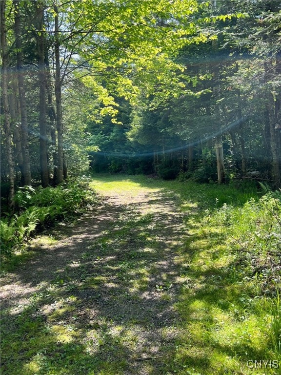 381 French Rd, Morehouse, NY 13324 - view of yard featuring a view of trees