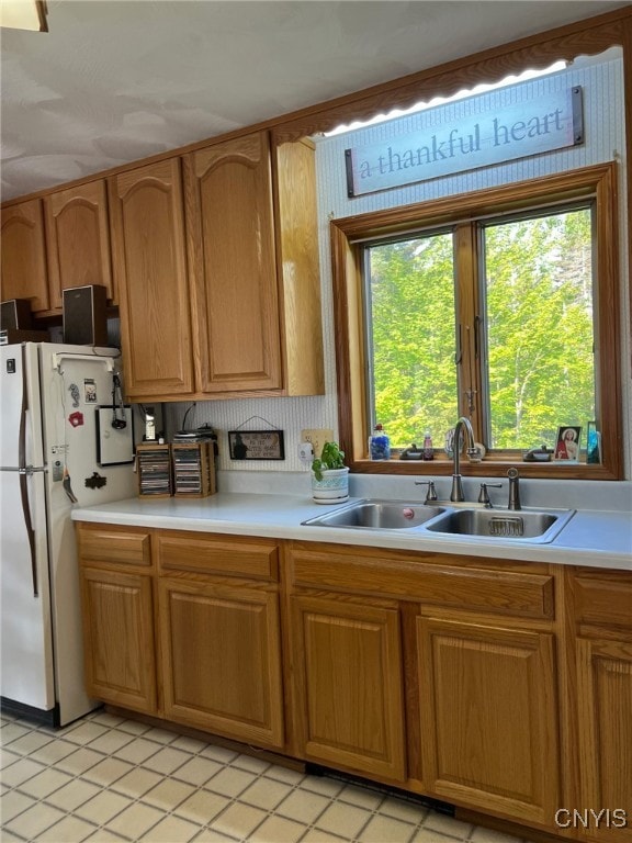 381 French Rd, Morehouse, NY 13324 - kitchen with a sink, freestanding refrigerator, light countertops, and healthy amount of natural light