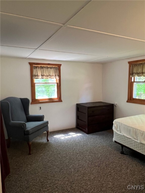381 French Rd, Morehouse, NY 13324 - bedroom with carpet floors
