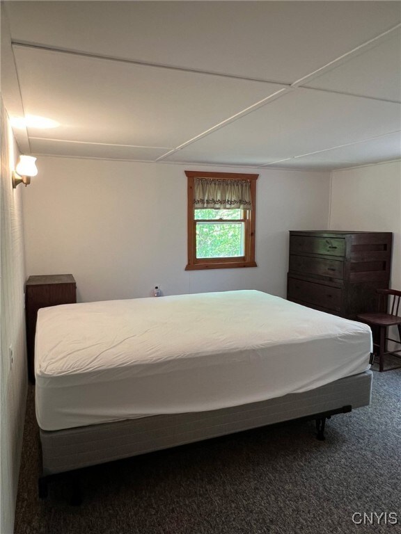 381 French Rd, Morehouse, NY 13324 - bedroom featuring carpet floors