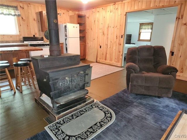 381 French Rd, Morehouse, NY 13324 - living room featuring a wood stove, healthy amount of natural light, and wooden walls