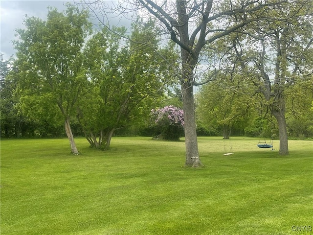 8109 County Route 125, Lyme, NY 13622 - photo 39