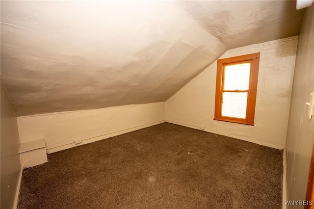 965 Walden Ave, Buffalo, NY 14211 - additional living space featuring lofted ceiling and dark colored carpet
