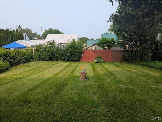 311 Raphael Ave, Salina, NY 13211 - view of yard