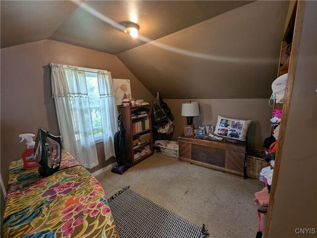 311 Raphael Ave, Salina, NY 13211 - bedroom with vaulted ceiling