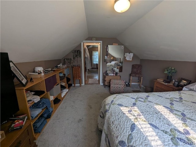 311 Raphael Ave, Salina, NY 13211 - bedroom with carpet and lofted ceiling