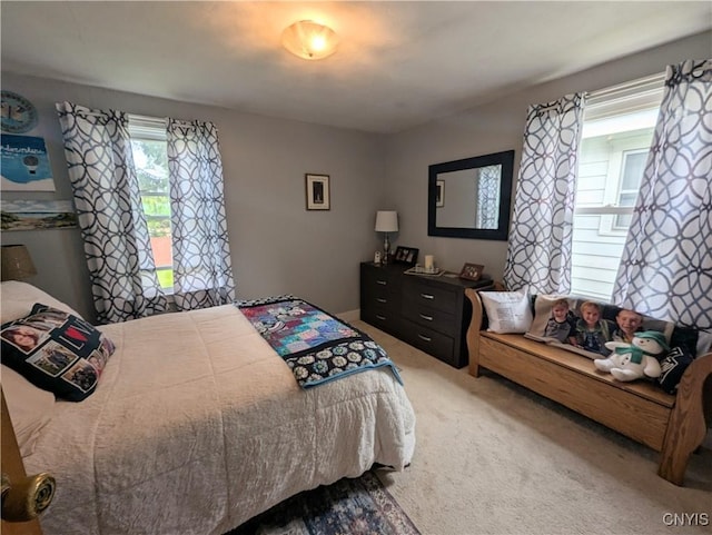 311 Raphael Ave, Salina, NY 13211 - bedroom featuring carpet