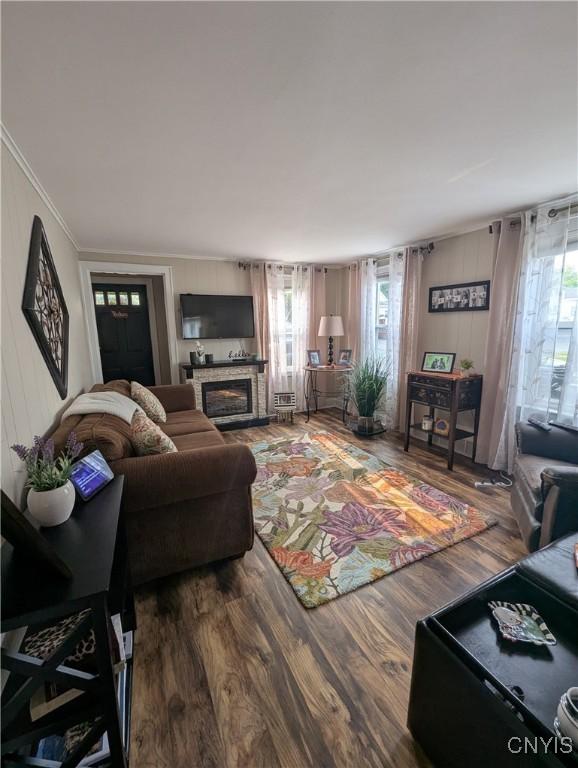 311 Raphael Ave, Salina, NY 13211 - living room featuring plenty of natural light, wood finished floors, a glass covered fireplace, and ornamental molding