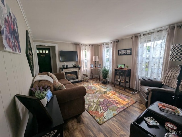 311 Raphael Ave, Salina, NY 13211 - living area featuring plenty of natural light, a glass covered fireplace, wood finished floors, crown molding, and wooden walls