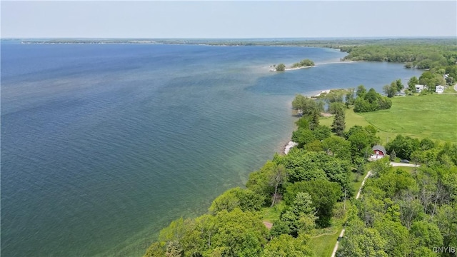 4859 Becker Ln, Lyme, NY 13693 - aerial view of property's location with a large body of water and a heavily wooded area